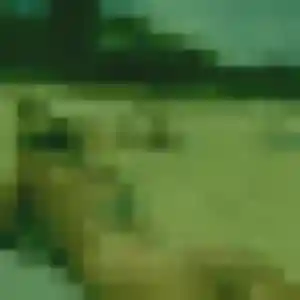 Photo exclusive de Cassandra, 32 ans à Pradines - rencontre coquine