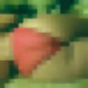 Photo de Cindy à Prémont (30 ans) - plan cul sans inscription