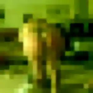 Photo de Ramatoulaye à Puisieux (22 ans) - plan cul anonyme