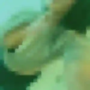 Yaa, 26 ans, connectée à Râches pour une rencontre coquine