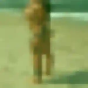 Photo sexy de Brigitte, 41 ans à Reventin-Vaugris - plan discret