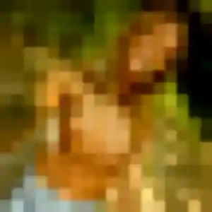 Océane, femme de 44 ans cherche plan cul à Ris-Orangis