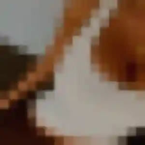 Adeline, femme de 36 ans cherche plan cul à Rochesson