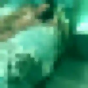 Profil de Chiamaka à Rochetrejoux (40 ans) - plan cul gratuit