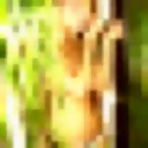 Photo de Sylvie à Rœux (36 ans) - plan cul sans inscription