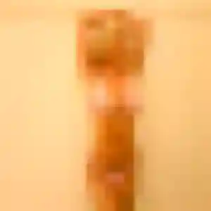 Photo exclusive de Modupe, 40 ans à Romillé - rencontre coquine