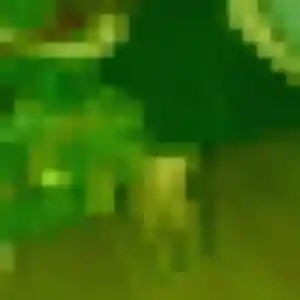 Photo de Aissatou à Roscoff (38 ans) - plan cul anonyme
