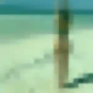 Jolie Fanta, 28 ans à Roscoff - voir sa photo