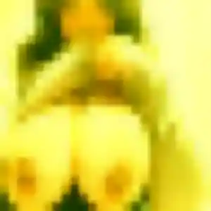 Photo sexy de Rehema, 27 ans à Rugles - rencontre coquine