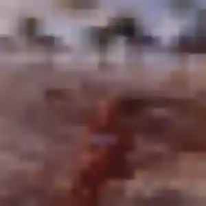 Découvre Wilda, 27 ans à Rugles en t'inscrivant