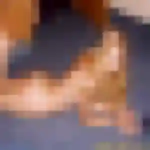 Contacte Fanny, 45 ans à Ruynes-en-Margeride en t'inscrivant