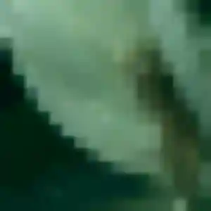 plan cul à Saint-Armel : photo de Titi, 44 ans - sans engagement