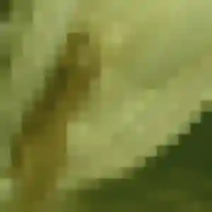 Photo sexy de Titi, 26 ans à Saint-Cernin - plan discret