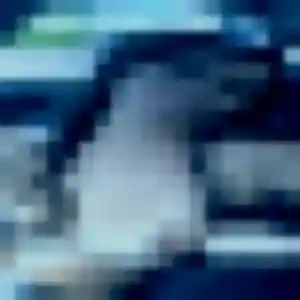 Photo perso de Zuri, 28 ans à Saint-Ciers-d'Abzac - rencontre coquine