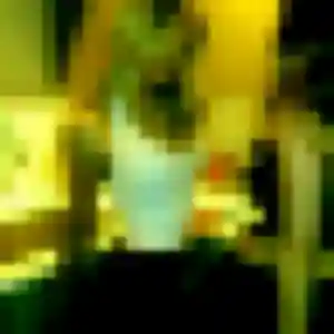 Photo de Zara à Saint-Clair-du-Rhône (44 ans) - plan cul anonyme