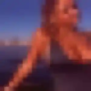 Karima, 40 ans, en ligne à Saint-Clément-sur-Valsonne pour une rencontre coquine