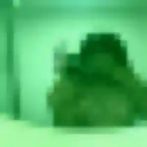 Photo privée de Nneka, 31 ans à Saint-Cyr - plan discret