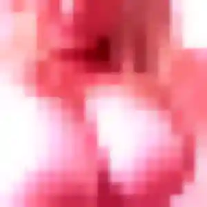 Mireille (42 ans) à Saint-Cyr-les-Vignes cherche une rencontre aujourd'hui