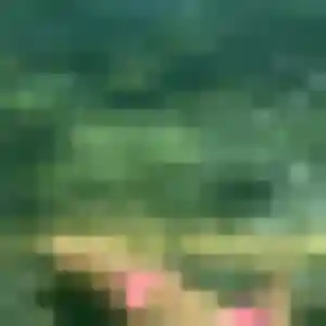 Contacte Bahati, 37 ans à Saint-Cyr-sur-Mer en privé