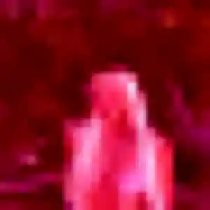 Fanny, 24 ans, dispo pour plan cul à Saint-Denis-en-Val