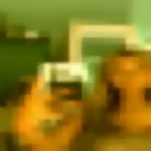 Photo privée de Amoin, 43 ans à Saint-Désirat - plan discret