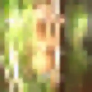 Photo privée de Diane, 27 ans à Saint-Erblon - plan discret