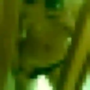 Lise, femme de 35 ans cherche plan cul à Saint-Étienne-du-Vauvray