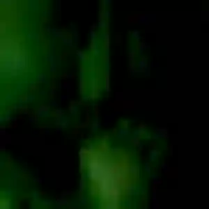 Ketty, 40 ans, dispo pour plan cul à Saint-Germain-le-Vasson