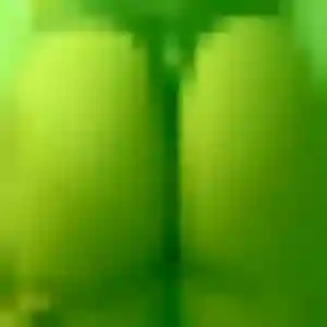 Sexy Kelly, 31 ans à Saint-Germain-lès-Arpajon - voir sa photo