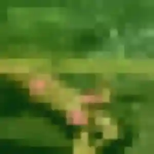 Photo exclusive de Promise, 41 ans à Saint-Hilaire-Bonneval - plan discret
