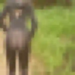 Photo de Maimouna à Saint-Honoré (26 ans) - plan cul anonyme