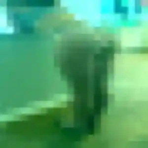 Photo exclusive de Célestine, 33 ans à Saint-Igny-de-Roche - rencontre coquine