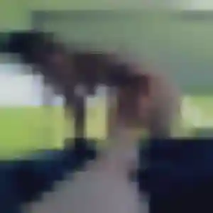 Naëlle, fille de 32 ans veut plan cul à Saint-Jean-sur-Mayenne