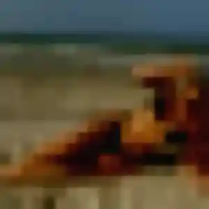 Photo de Valérie à Saint-Julien-Chapteuil (44 ans) - plan cul gratuit