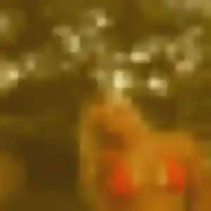 Photo privée de Kimberley, 28 ans à Saint-Julien-les-Rosiers - rencontre coquine