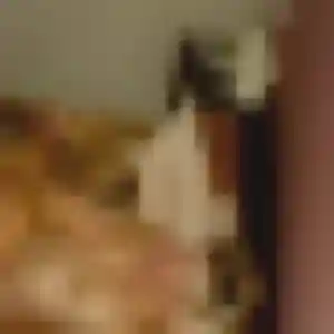 Célestine, 42 ans, en ligne à Saint-Léger-lès-Domart pour une rencontre coquine