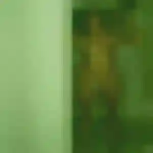 Photo de Shérazade à Saint-Martin-de-Fraigneau (33 ans) - plan cul discret