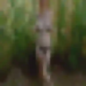 Zoé, 35 ans, disponible à Saint-Martin-des-Tilleuls pour un plan cul