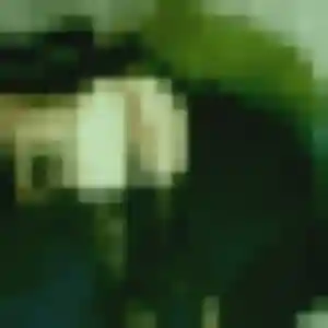 Belle Noëlla, 25 ans à Saint-Martin-le-Vieux - la contacter