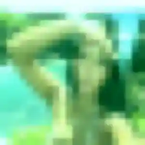 Assétou, 30 ans, connectée à Saint-Maurice-les-Brousses pour une rencontre coquine