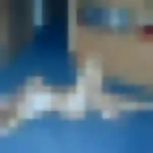 Nicole, 28 ans, dispo pour plan cul à Saint-Maurice-sur-Aveyron