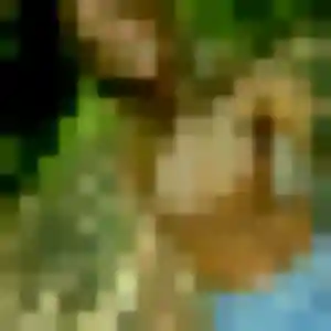 Photo de Djamilatou à Saint-Maximin (43 ans) - plan cul anonyme