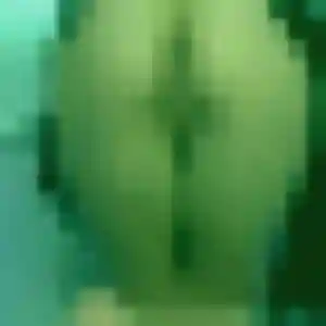 Photo de Amara à Saint-Nazaire (30 ans) - plan cul sans inscription