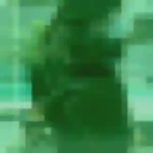 Dalila, 28 ans, dispo pour plan cul à Saint-Nazaire