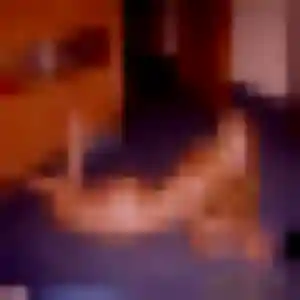 Stéphanie, fille de 40 ans cherche plan cul à Saint-Omer-Capelle