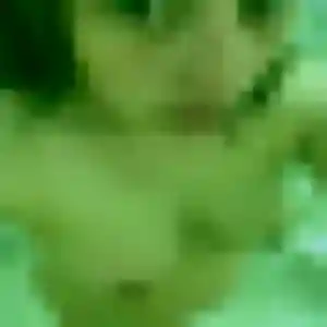 Sonia, fille de 45 ans cherche plan cul à Saint-Ouen-sur-Iton
