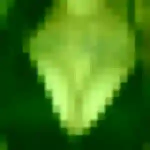 Photo sexy de Neneh, 32 ans à Saint-Pantaléon-de-Larche - plan discret