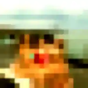 Photo exclusive de Anaïs, 26 ans à Saint-Pardoux-du-Breuil - rencontre coquine