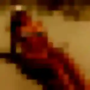 Photo exclusive de Ogechi, 42 ans à Saint-Paul-les-Fonts - rencontre sans lendemain