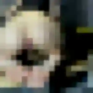 Photo de Élise à Saint-Pierre-d'Eyraud (37 ans) - plan cul gratuit